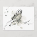 Search for gestures postcards Animal