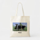 Search for bovine accessories Animal