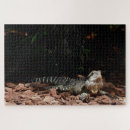 Search for reptile puzzles Wildlife