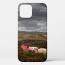 Search for welsh iphone cases Animals