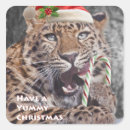 Search for leopard cat stickers Big