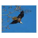 Search for flight officer posters Wildlife