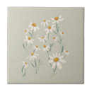 Search for delicate tiles Nature