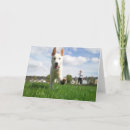 Search for white german shepherd cards Alsatian