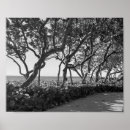 Search for black white ocean posters Photography