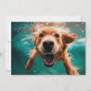 Search for underwater cards Dog products