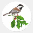 Search for chickadee stickers Holly