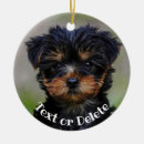 Search for yorkie christmas tree decorations Terrier