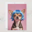 Search for wig cards Dogs