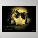 Search for peep posters Cat