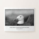 Search for seagull puzzles Nature