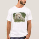 Search for south face clothing White