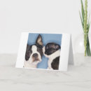 Search for boston terrier mothers day cards Pet
