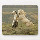 Search for wild stallion mouse mats Horse