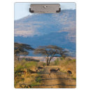 Search for impala Flora