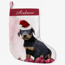 Search for doberman christmas stockings Puppy