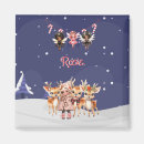 Search for candi magnets For kids