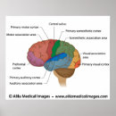 Search for functional posters Map