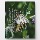 Search for fear photography Butterfly