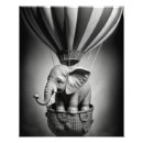 Search for black and white elephant posters Cute