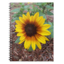 Search for annuus Yellow