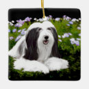 Search for bearded collie christmas tree decorations Beardie