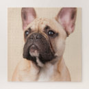 Search for jigsaws pet dogs puzzles For pets