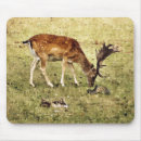 Search for wild life mouse mats Deer