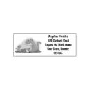 Search for dinosaur rubber stamps Animal