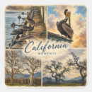 Search for seabird stickers Ocean