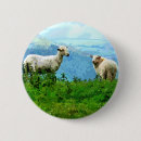 Search for ewes badges Animals