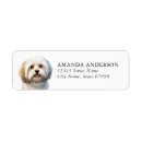Search for havanese return address labels Cute