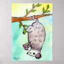 Search for possum posters Texas
