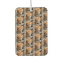 Search for dog car air fresheners Cat