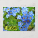 Search for state of alaska postcards Flower
