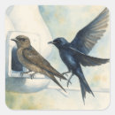Search for swallow bird stickers Nature