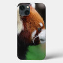 Search for brown bear ipad cases Animal
