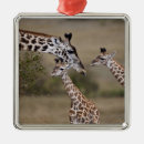 Search for african christmas tree decorations Safari