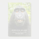 Search for happy monkey photography Macaque