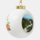 Search for beach ball christmas tree decorations Florida