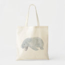 Search for manatee bags Sea