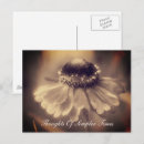 Search for zinnia flower postcards Nature