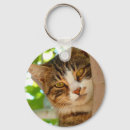 Search for cat in tree key rings Cats