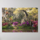 Search for cypress posters Garden