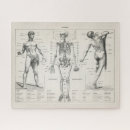 Search for medical puzzles Anatomical