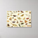 Search for kessel canvas prints Van