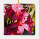 Search for plumeria christmas tree decorations Maui