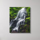 Search for fairy canvas prints Forest