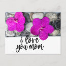 Search for best mummy postcards Purple