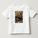 Search for assorted tshirts Assortment